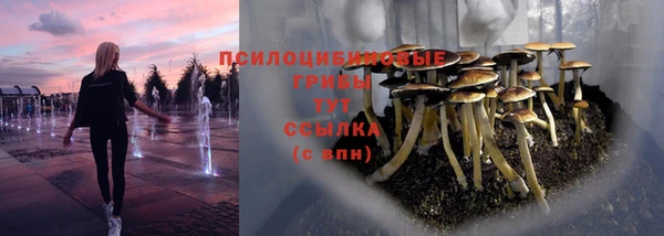 а пвп мука Богданович