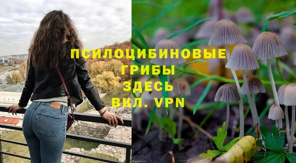 прущая мука Богородск