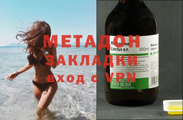 прущие грибы Балахна
