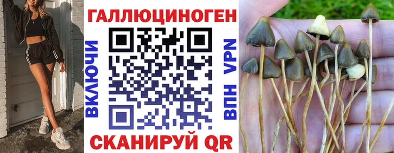 Галлюциногенные грибы Cubensis  Высоцк 